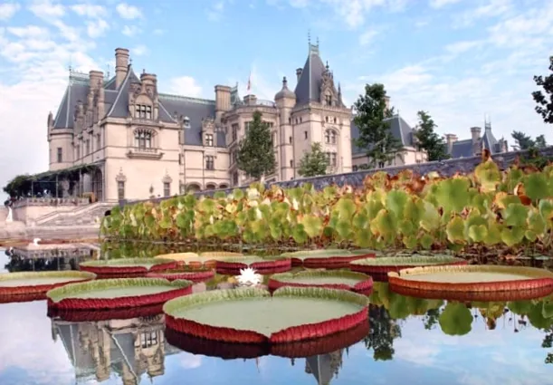 Американські мільярдери вкладають у безпеку: особняки перетворюються на фортеці