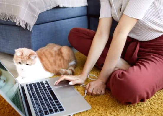 Як зміниться робота через ФОП при введенні нового Трудового кодексу для працівників і компаній.