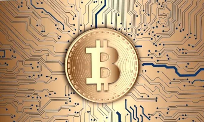 Сини Трампа серед топ-20 власників біткоїна, Mesh - «єдинорог»: огляд новин.