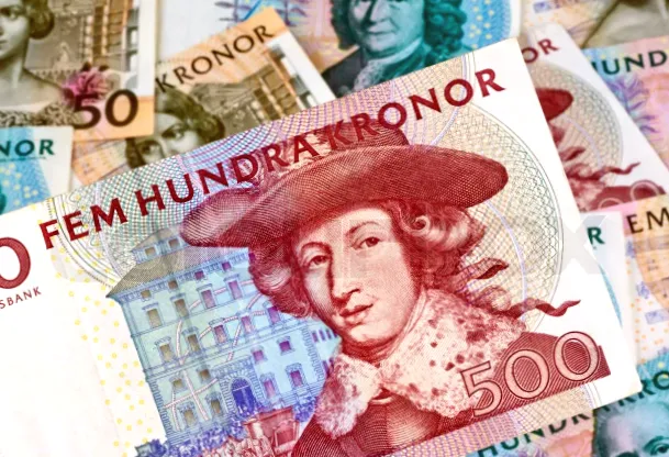 Швеція відкладає приєднання до єврозони через близькі роки, - уряд