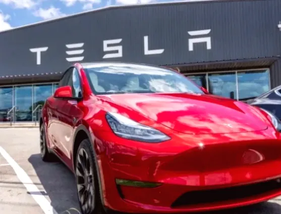 Продажі Tesla во Франции за январь упали до минимума за три года