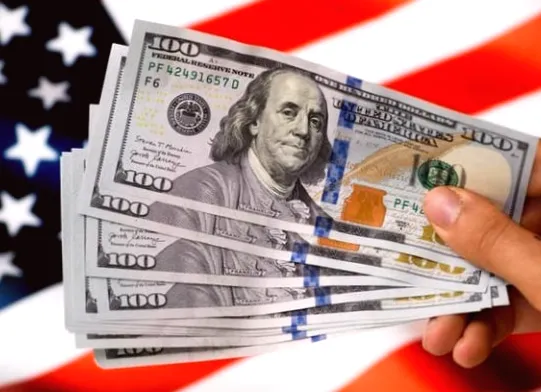Привабливість долара США для інвесторів зменшилася — Гріффін
