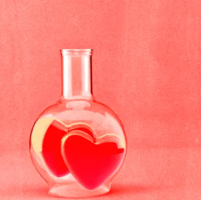 Ідеальний партнер не існує: вчені спростували міф про "ту саму" другу половинку