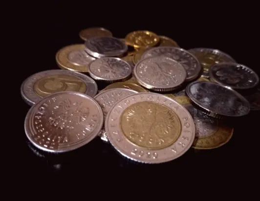 У Польщі планують введення 5 злотих податку на певні продукти.