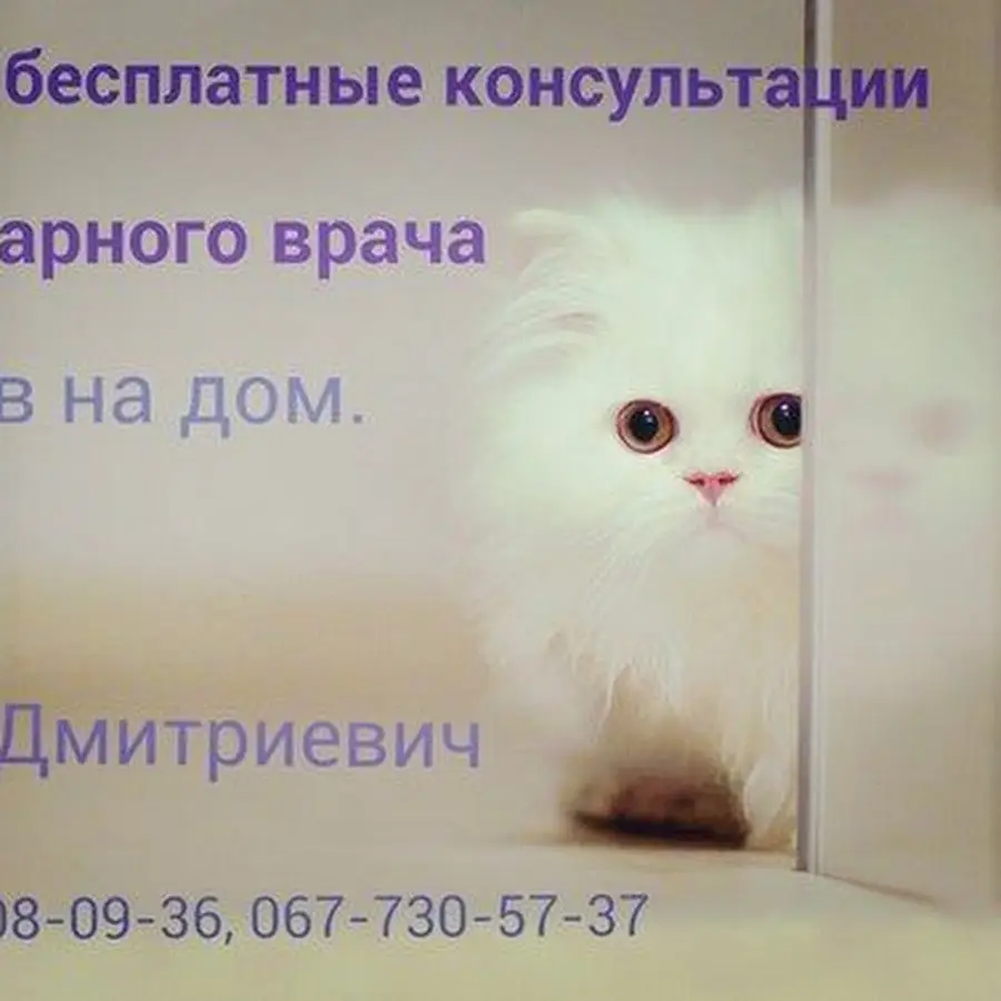 Ветеринар на дом (093)408-09-36