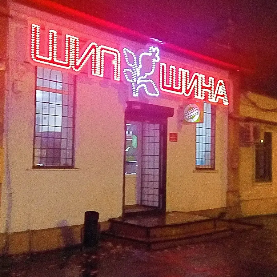 Шипшина