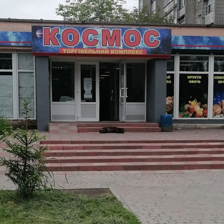 Космос