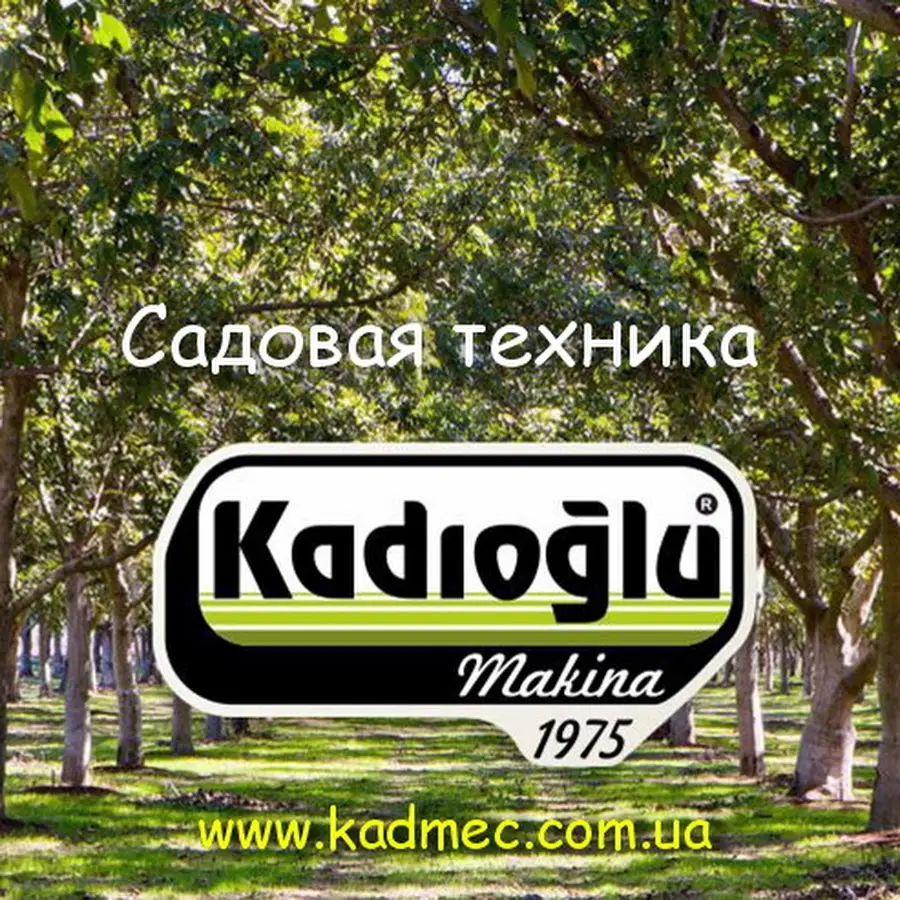 Kadioglu Ukraine