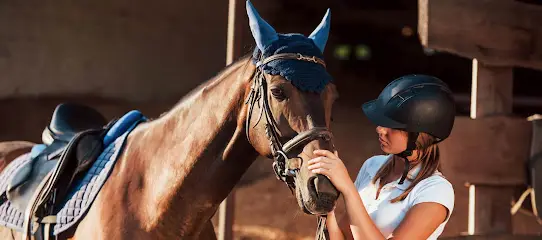 HorseUA - Кінний інтернет-магазин від вершників для вершників