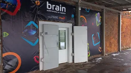 Brain