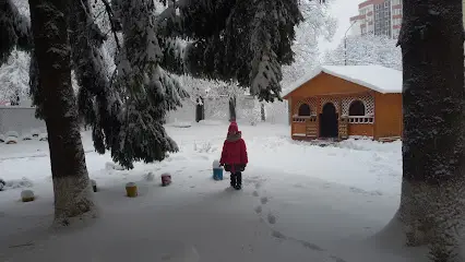 НВК Любисток