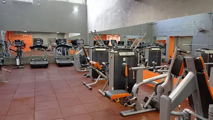 Fox Fitness