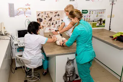 Ветеринарна клініка Vet Line