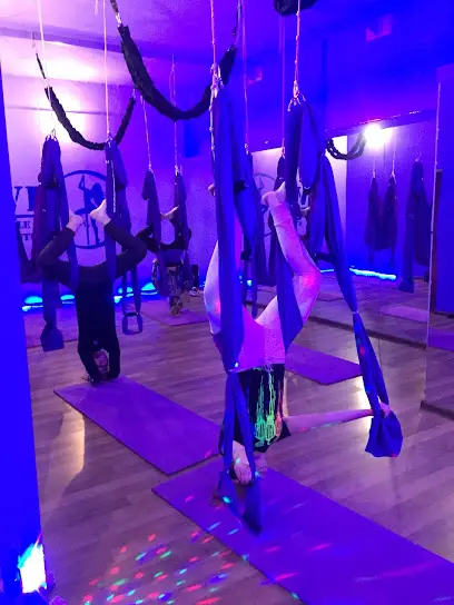 Via pole dance studio