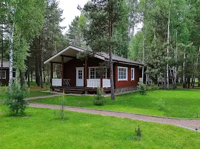 Плахтянка. Котеджі у лісі