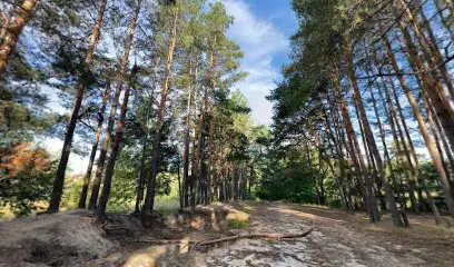 Дитячо-юнацький військово-патріотичний клуб "Сатурн"