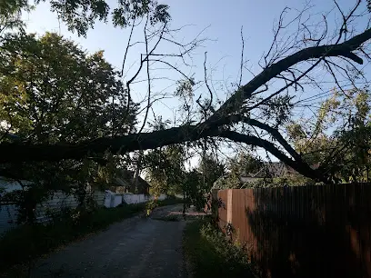 ТОВ Агрофірма Столична