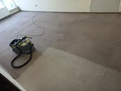 PAPA CLEAN CARPET