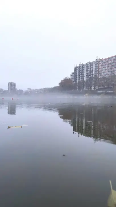 Миколаївська центральна районна лікарня