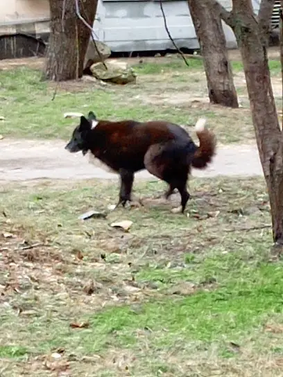 МБОУ &laquo;СОШ-детский сад&raquo; №36