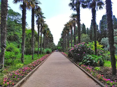 Нікітський ботанічний сад