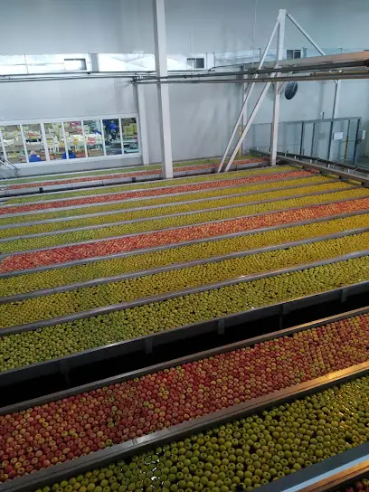 Raspredelitel'nyy Tsentr Petrovskiy