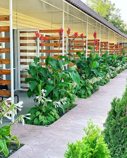 База відпочинку БУДЖАК / BUDJAK