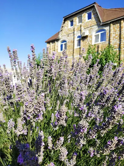 Gostinitsa-Usad'ba "Gorodok"