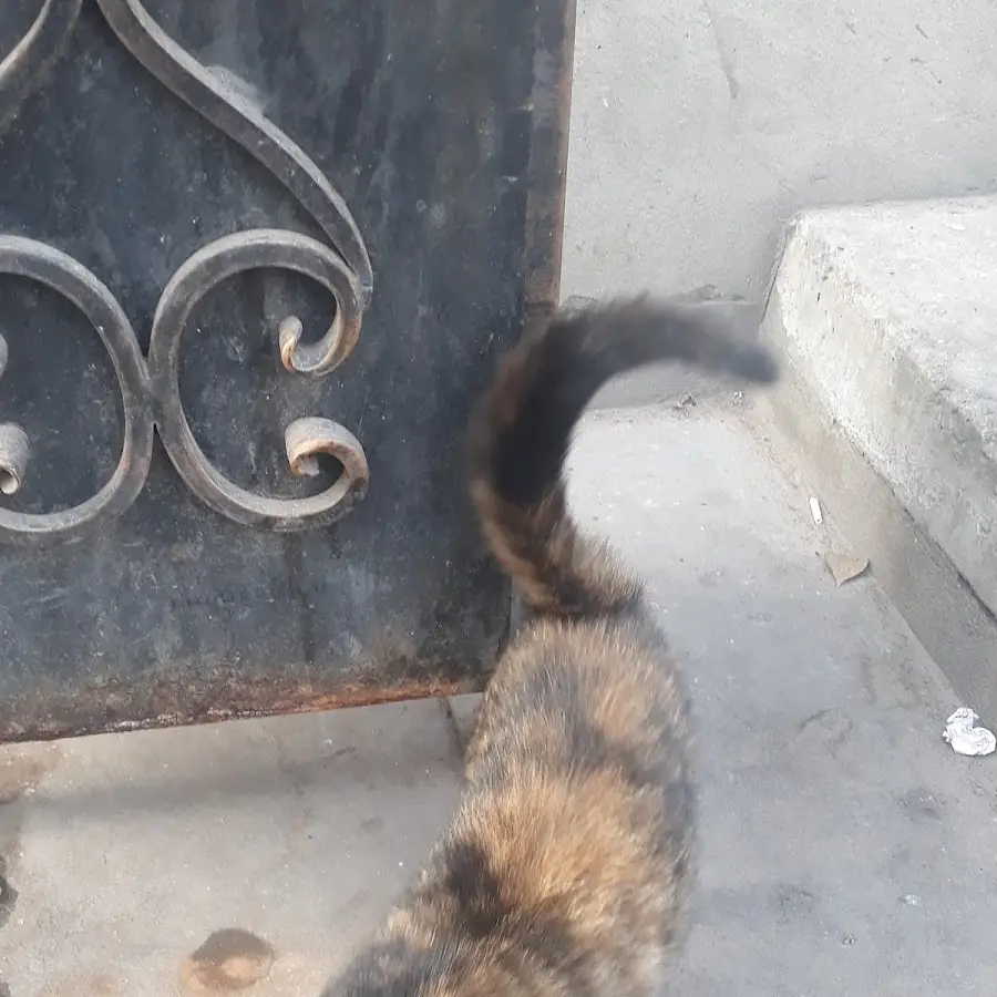 Стройиндустрия