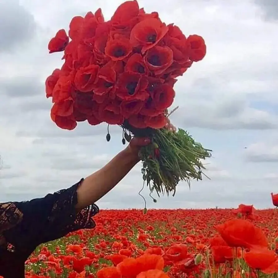 ШЕВУА САЛОН КРАСИ