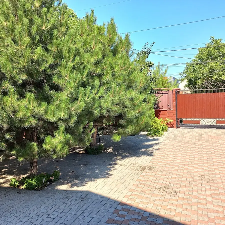 Медичні кабінети на Толбухіна