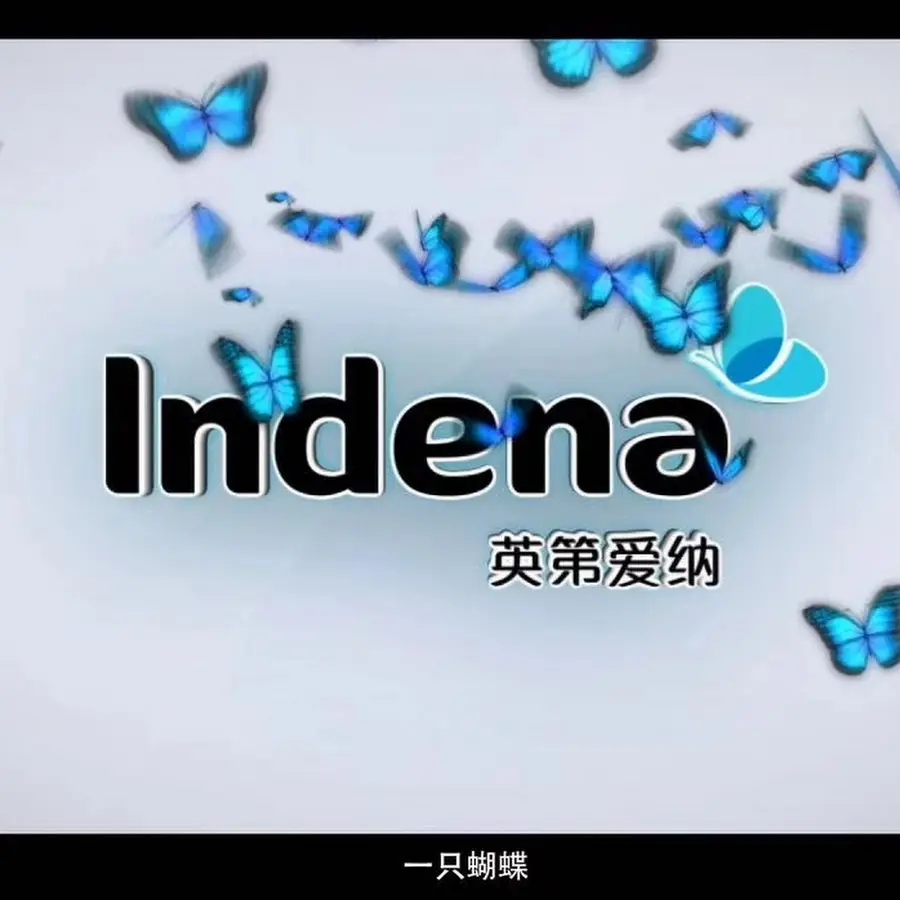 Indena Нижнее белье оптом от производителя