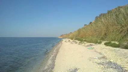 Mafia Rave Terrace club