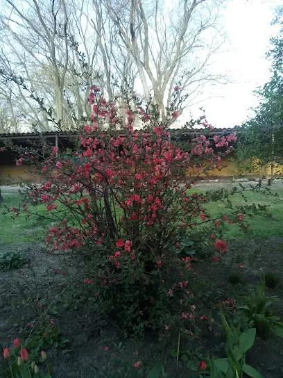 Ясла-садок №8 "Іскорка"