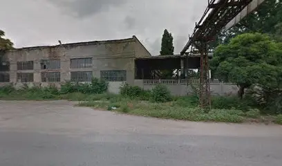 Центр Творческого Развития Шанс