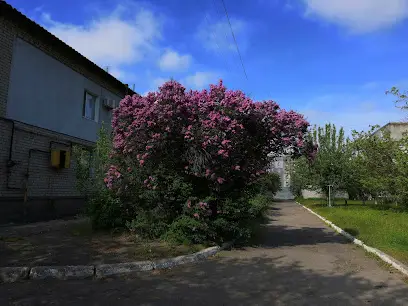 Дитячий садок №56