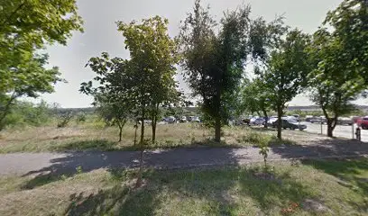 Шаурма Зевс