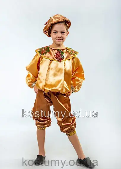 Студія прокату костюмів Вікторія Стиль