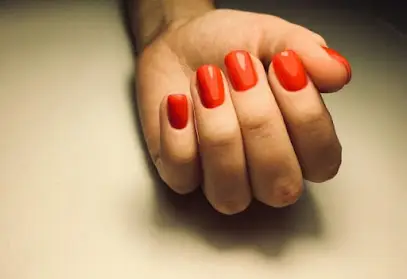 Василіса Прекрасна