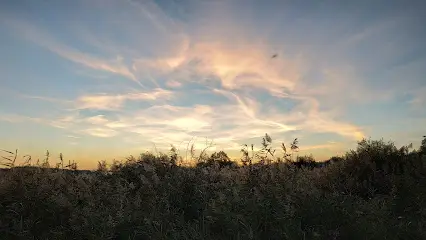 ТОВ ВИРОБНИЧО-КОМЕРЦІЙНА ФІРМА ЛИСТ ЛТД