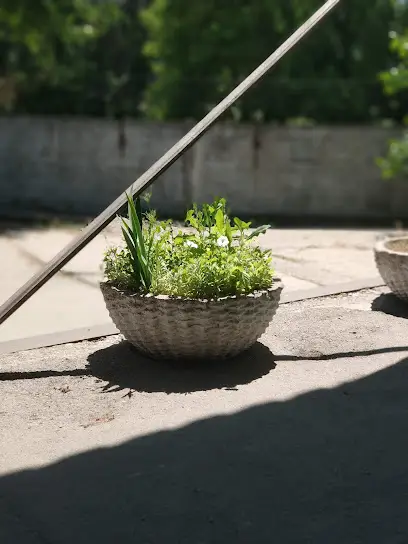 Жвавий Пекар