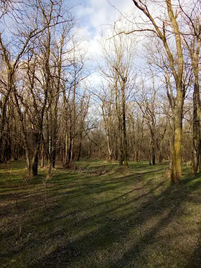 Одеська обласна психіатрична лікарня №3