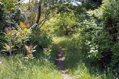 Дендропарк