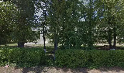 Пологовий будинок