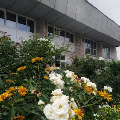 Комунальний позашкільний навчальний заклад "Центр художньо-естетичної творчості дітей та юнацтва "Орфей" Криворізької міської ради