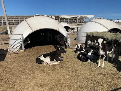 Животноводческая ферма с. Зозуляны