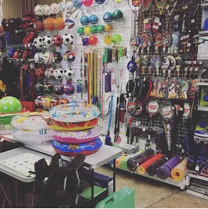 Активний відпочинок ( ФСМ Мотор Січ)