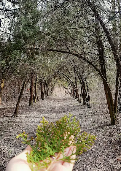 Дендрологічний парк