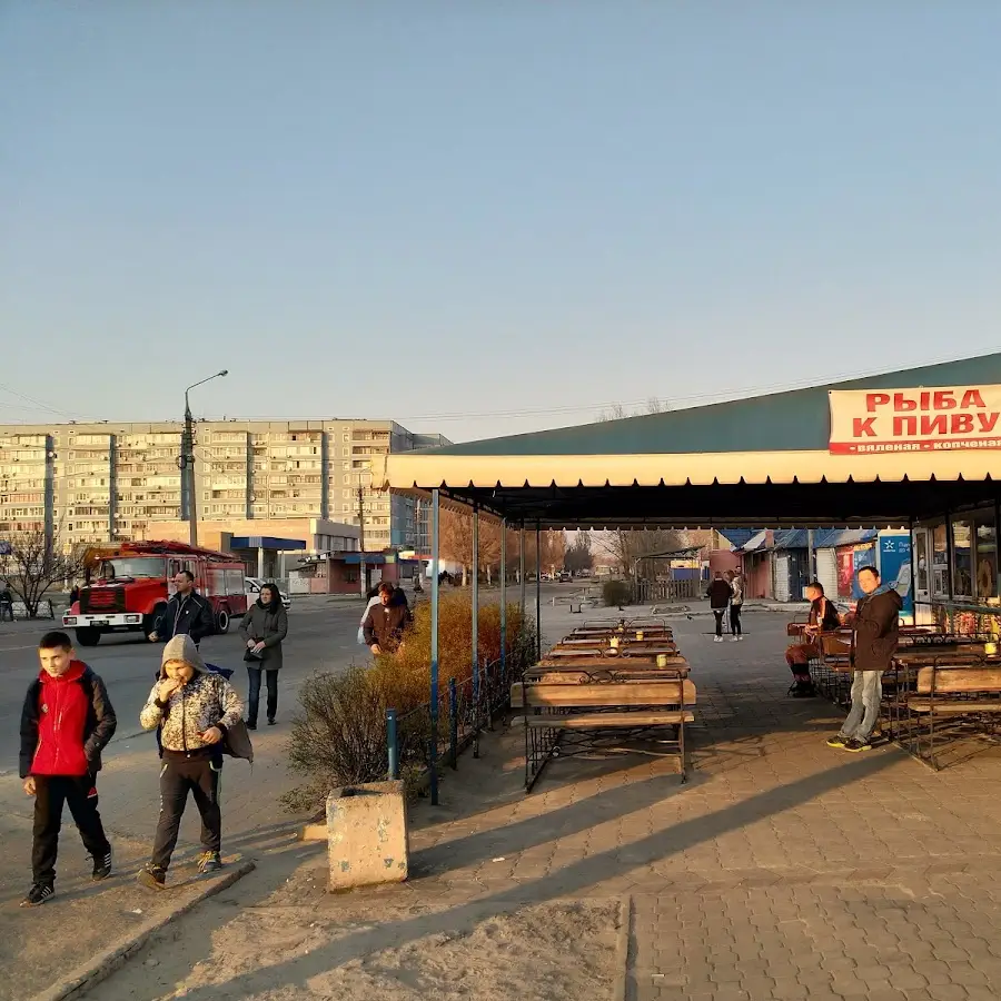 Бар Крокодил