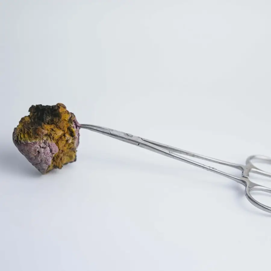 Клініка ветеринарної хірургії лікаря Малишко